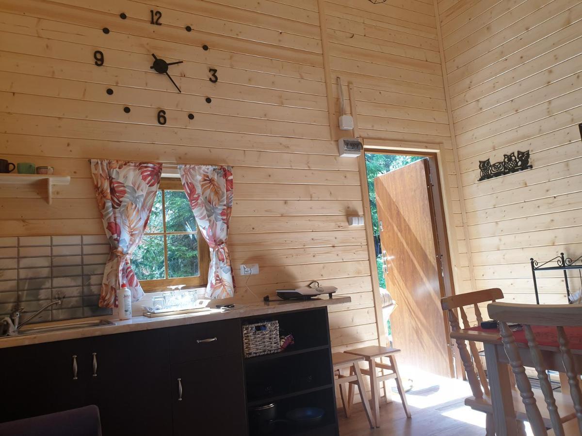 Domki Letniskowe Pod Lasem Koziniec 外观 照片