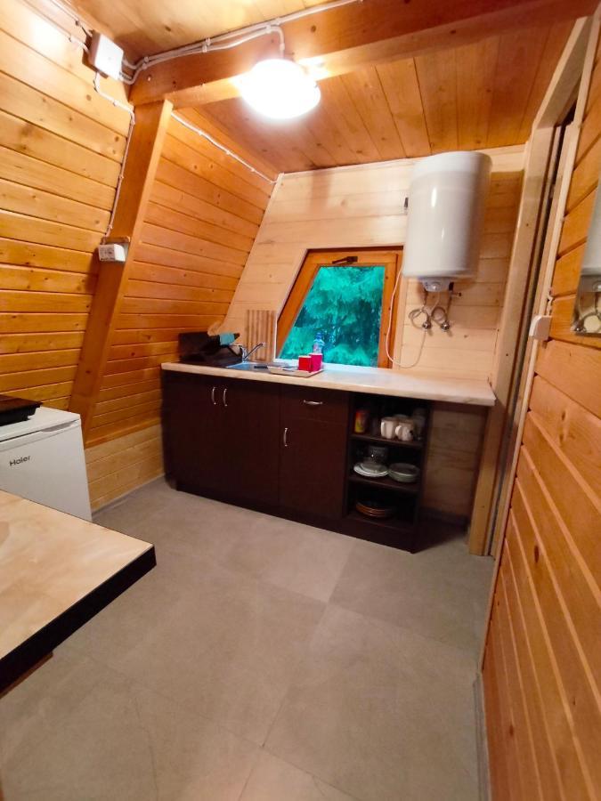 Domki Letniskowe Pod Lasem Koziniec 外观 照片